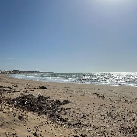 Sea's Scent *